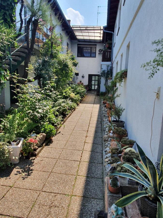 Appartement Roiss Подерсдорф-ам-Зе Екстер'єр фото